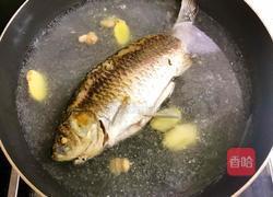 无刺鲫鱼豆腐汤的做法图解7