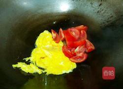 番茄鸡蛋粉丝的做法图解10