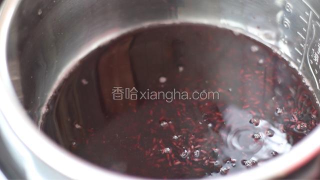 血糯米淘洗干净后，倒入锅里，加适量水，具体水量根据自家煮饭习惯来