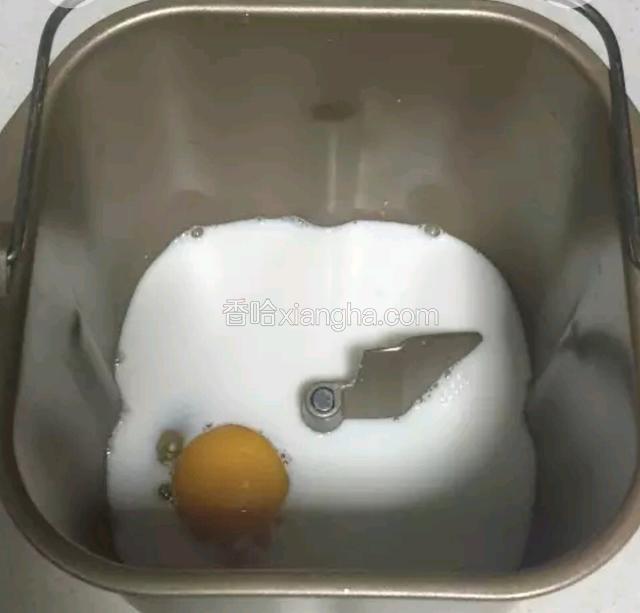 把液体材料鸡蛋全部倒进面包机中，把糖和盐各放一角。