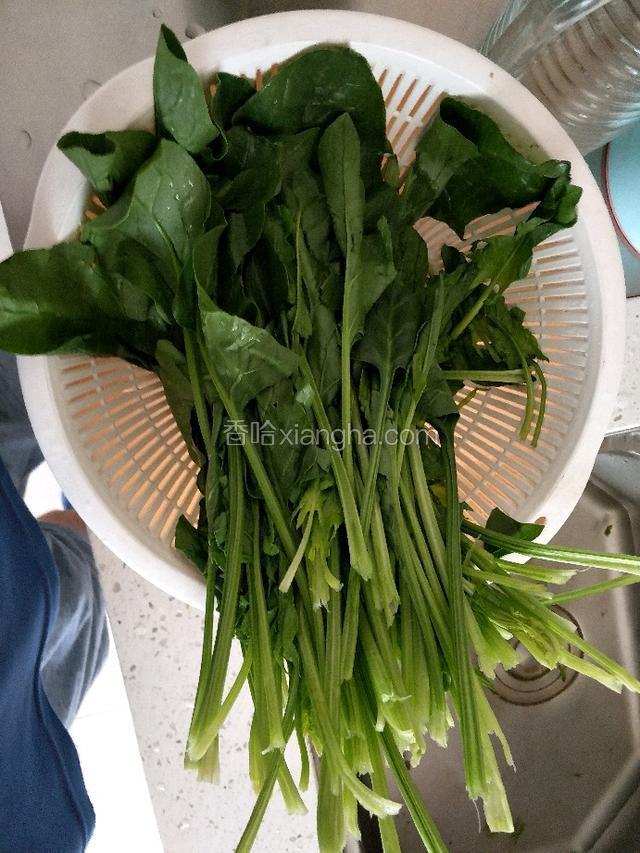 菠菜去根洗净，晾干