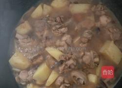土豆炖鸡腿的做法图解4