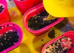 西瓜冰棍的做法图解11