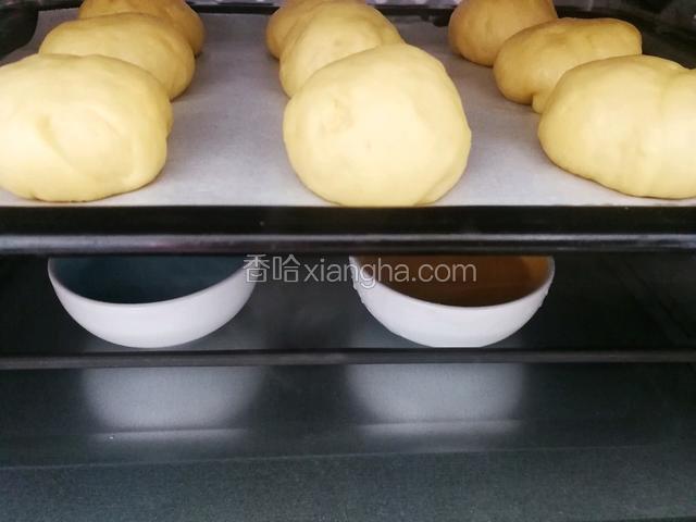 烤箱放入一碗开水，我的烤箱小用的两个小碗。烤盘铺一层油纸，面团尽量留间隔摆放整齐，放进烤箱。关上烤箱门进行二次发酵。