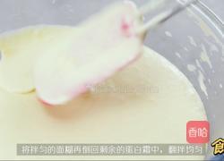 轻芝士乳酪蛋糕的做法图解10