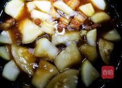 葫芦瓜烧肉的做法图解4