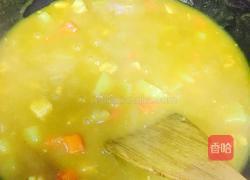 咖喱土豆鸡肉的做法图解7