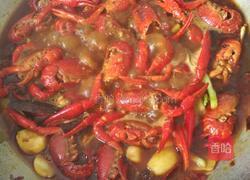 麻辣小龙虾的做法图解9