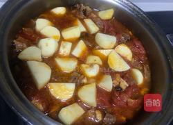 西红柿土豆炖牛腩的做法图解8