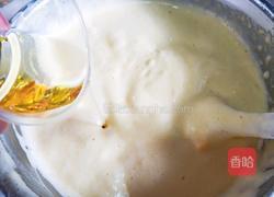 全蛋原味纸杯蛋糕的做法图解9