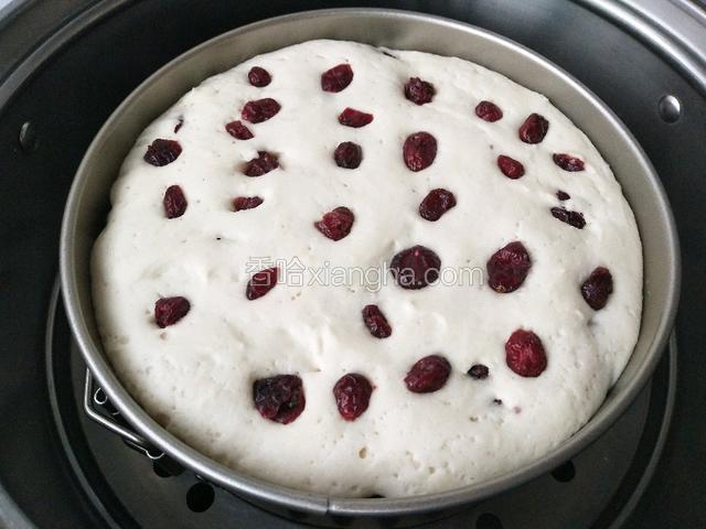 蔓越莓在上面再装饰一下,轻轻按下。