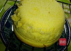 奶油小蛋糕(简单版)的做法图解14