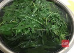凉拌苦苦菜的做法图解4
