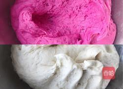 小猪奶黄包的做法图解9