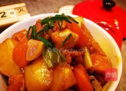 今日晚餐之土豆烧鸡块的做法图解31