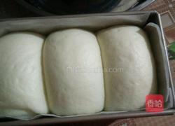 淡奶油吐司(中种)的做法图解9