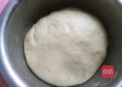 椰蓉面包的做法图解10