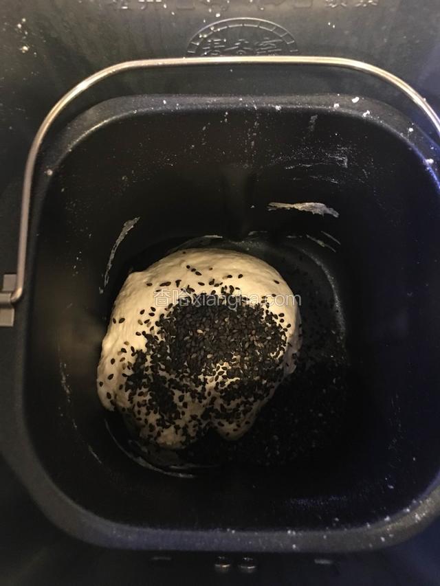 揉面过程中，面粉揉成团后，加入15克黑芝麻，继续揉面，直到一个揉面程序完成就启动发面程序。