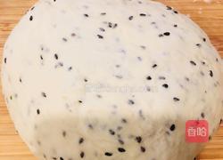 法国黑芝麻球的做法图解5