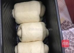 北海道吐司（中种法）的做法图解10