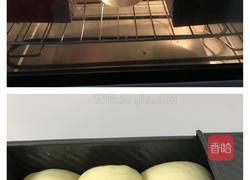 北海道吐司（中种法）的做法图解11