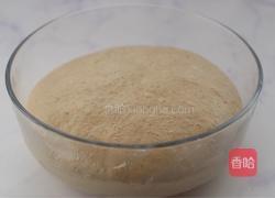 全麦吐司的做法图解7