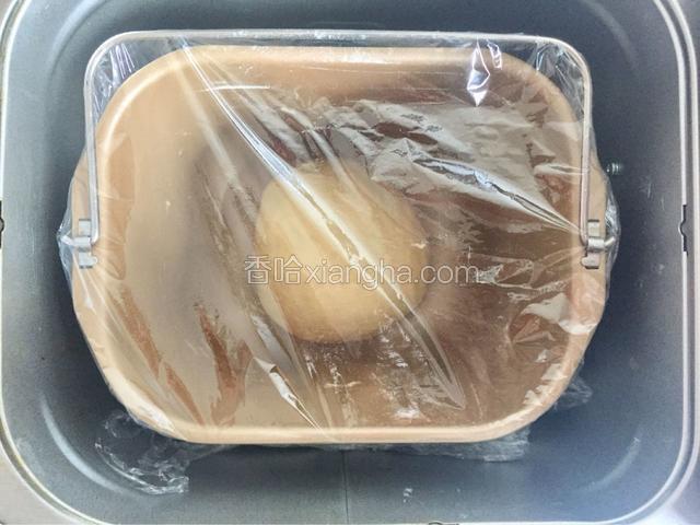 将面团揉圆之后盖上保鲜膜，启动面包机发酵程序设置1小时。
手指占粉戳洞不回缩即发酵成功。
