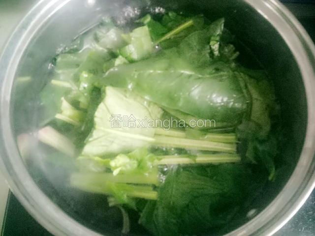 菠菜在水里焯一下