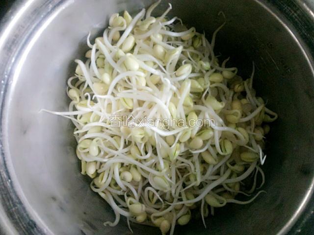 豆芽冲洗干净备用