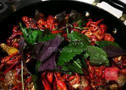 麻辣小龙虾的做法图解12