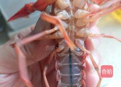 生猛龙虾的做法图解2