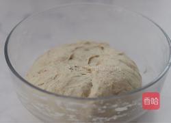 免揉乡村欧包的做法图解4