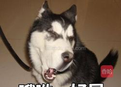 菠萝饭的做法图解3