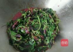 蒜香红苋菜的做法图解5
