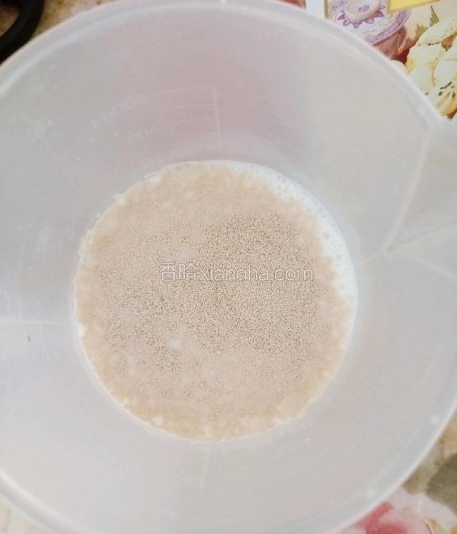 牛奶隔水加热到35度左右，将牛奶倒入杯中，再倒入2g酵母粉，搅匀备用