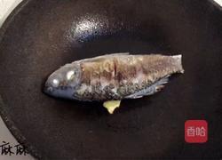 如何熬出好喝的鲫鱼汤的做法图解4
