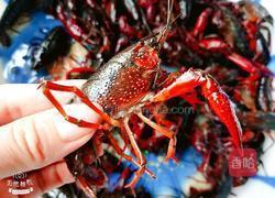 香辣龙虾的做法图解3