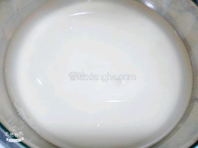 这是沉淀好的面浆水，可以清楚的看见底下的面糊和表面的水已经分离开，轻轻把表面的水倒干净