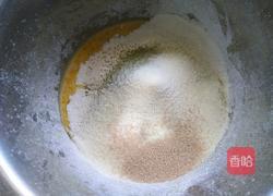 抹茶椰蓉餐包的做法图解2