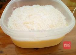 椰蓉南瓜牛奶冻的做法图解9