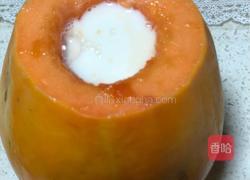 木瓜奶冻的做法图解4