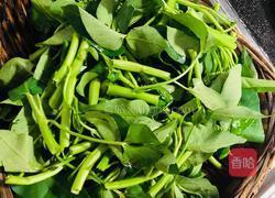 蒜香空心菜的做法图解1