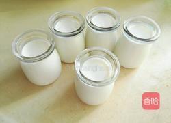 自制芒果酸奶的做法图解5