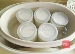 自制芒果酸奶的做法图解6
