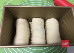基础面包+咸味吐司的做法图解16