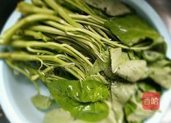 家常空心菜的做法图解2
