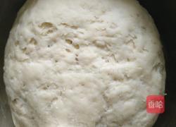 椒盐黑芝麻花卷的做法图解3