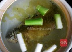 鲫鱼汤的做法图解3