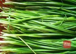 酿南瓜花的做法图解3