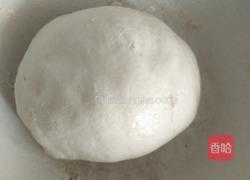 香辣苋菜饼的做法图解2